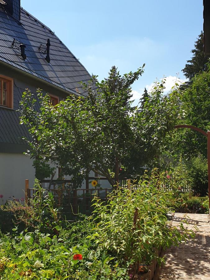 Oekologische Ferienwohnung Becker Kottmar ภายนอก รูปภาพ
